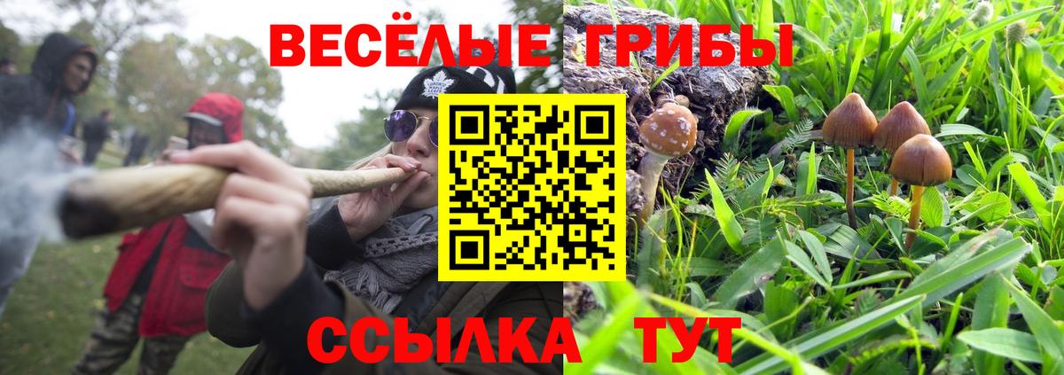 Галлюциногенные грибы прущие грибы Павловский Посад