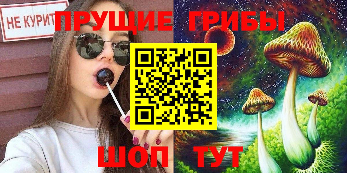 Павловский Посад  Псилоцибиновые грибы ЛСД  Вход с VPN 